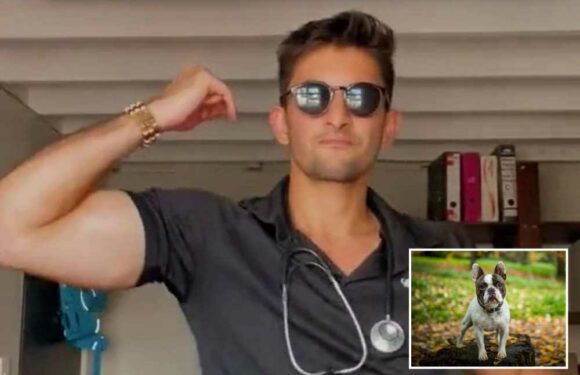 I’m a vet and these four dog breeds will cost you the most money when it comes to vet bills | The Sun