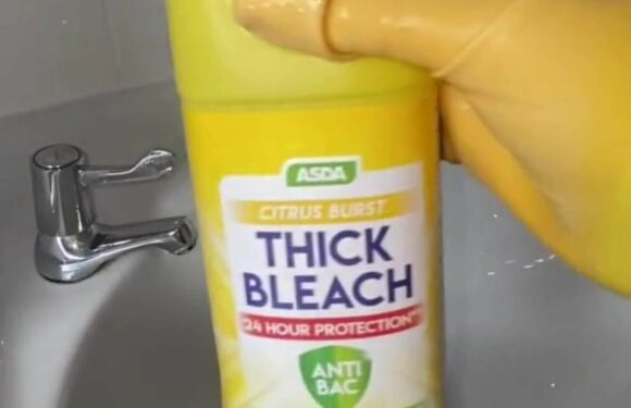 I’m obsessed with bleach and douse everything in my home with it, trolls say I’m ruining my house but I don’t care | The Sun