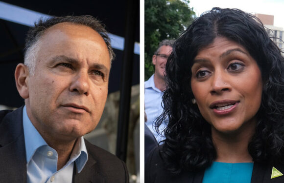 Inquiry into Redlich letter poised to fail due to Greens-Labor deal