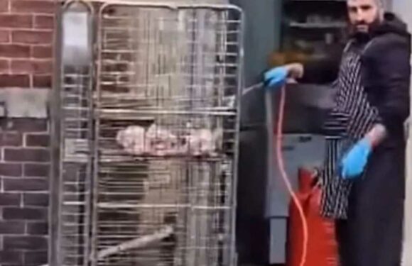 Is this Britain's worst takeaway? Shocking moment worker uses blowtorch to cook raw chicken in alleyway | The Sun