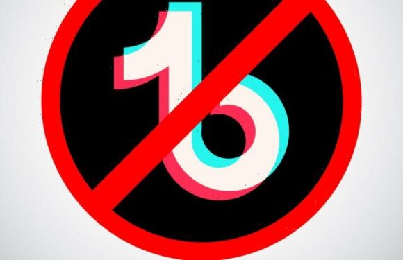 It’s not xenophobic to call time on TikTok, it’s vital