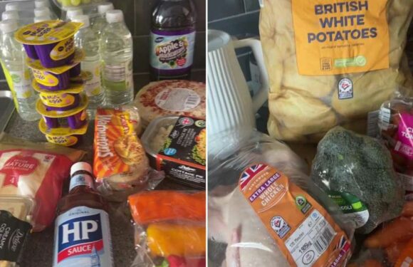I’ve always been a loyal Tesco girlie but I tested out Lidl & Farmfoods to try & cut costs & was stunned at what I got | The Sun