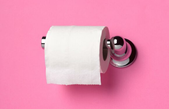 I'm a GP – here's how often you should really be pooping and when to get help | The Sun