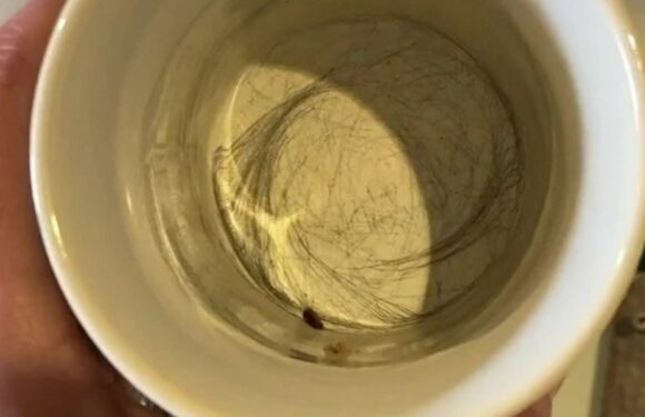 I'm a cleaning guru & my 1p hack will instantly banish any harsh marks from your mugs – they'll come out like brand new | The Sun