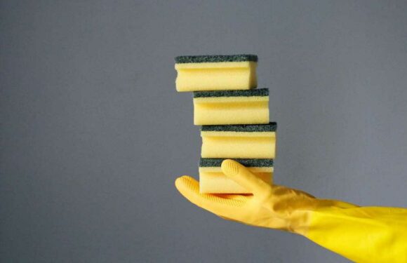 I'm a cleaning whizz and you're probably making this grim mistake with your kitchen sponge – here's what to do instead | The Sun