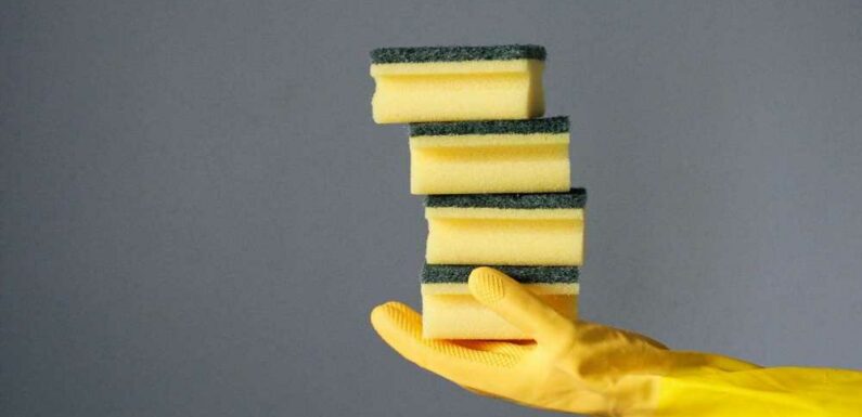 I'm a cleaning whizz and you're probably making this grim mistake with your kitchen sponge – here's what to do instead | The Sun