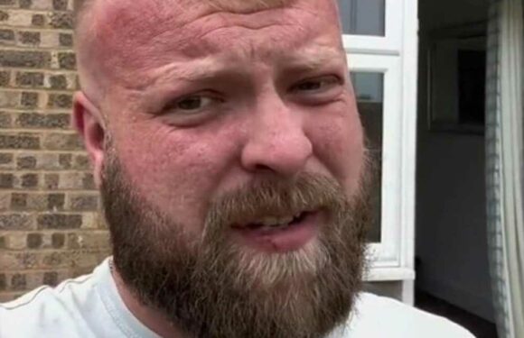 I'm a dog trainer – the 4 breeds that are brilliant with kids…including a pooch that looks scary but is a gentle giant | The Sun