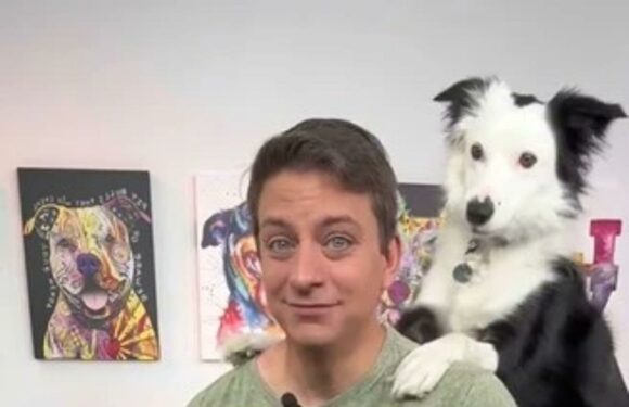 I'm a dog trainer… here's why you SHOULDN'T use treats to reward good behaviour – my free method is much better | The Sun