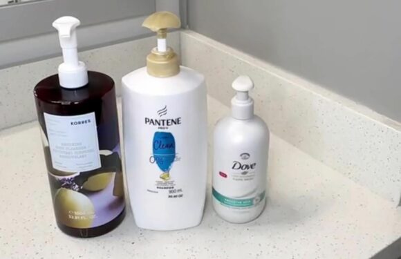 I'm a home interiors fan & my easy trick will instantly make any bathroom look posh – it costs absolutely nothing | The Sun