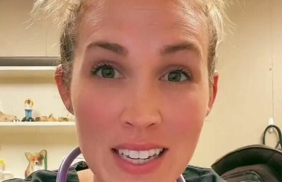 I'm a vet – there are five breeds to avoid if you don't want to deal with the constant shedding | The Sun