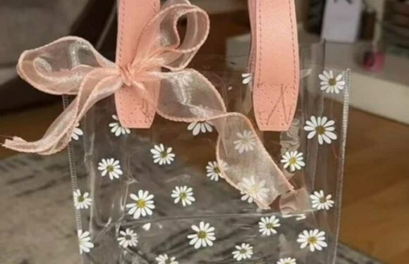 I'm already prepared for my budget wedding next year – I've bought so many bargain buys from Shein, including cute bags | The Sun