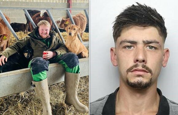 Jeremy Clarkson's sidekick Kaleb Cooper helped out after road crash