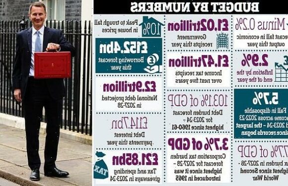 Jeremy Hunt vows to 'bring taxes down when we can' amid Budget anger