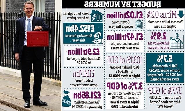 Jeremy Hunt vows to 'bring taxes down when we can' amid Budget anger