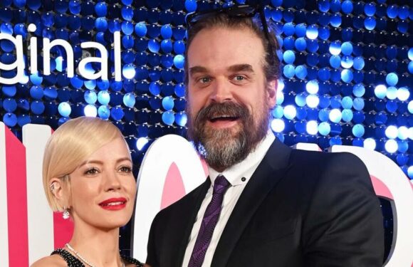 Lily Allen wows in plunging gown at event with husband David Harbour