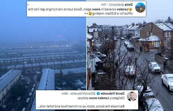 Londoners wake up to snow after capital is hit by Arctic blizzard