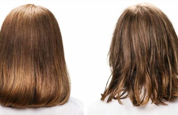 Make Hair Look Fuller and Thicker ‘In a Single Blow Dry’ With This Treatment