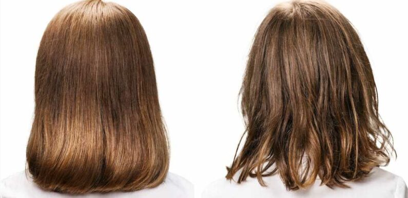 Make Hair Look Fuller and Thicker ‘In a Single Blow Dry’ With This Treatment