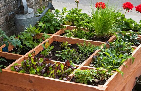 Make space for herbs