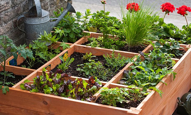 Make space for herbs