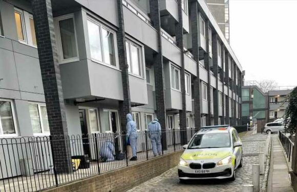 Man 'naked and covered in blood' arrested before mum found 'murdered' at home as neighbours reveal hearing screams | The Sun