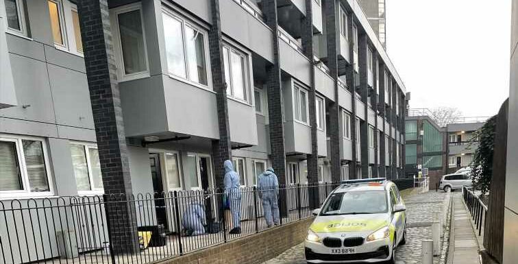 Man 'naked and covered in blood' arrested before mum found 'murdered' at home as neighbours reveal hearing screams | The Sun