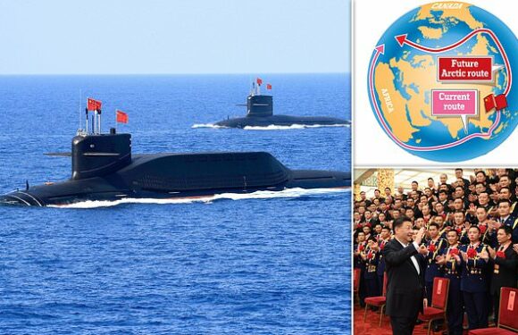Melting Arctic ice may allow Chinese navy to confront Nato in 20 years
