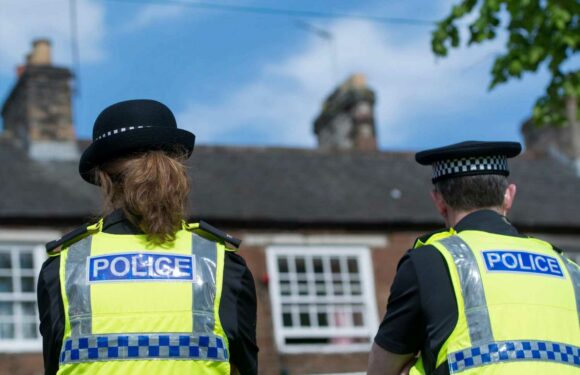 Met Police should be broken up into manageable units if problems can't be fixed | The Sun