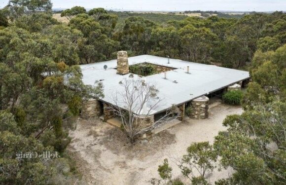 Mid-century masterpieces: Robin Boyd time warp homes hit the market
