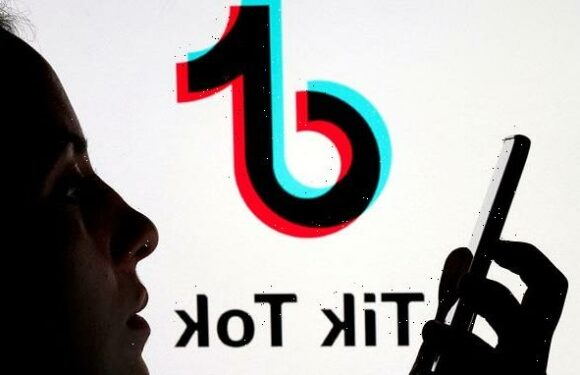 Ministers plan to ban TikTok from government devices