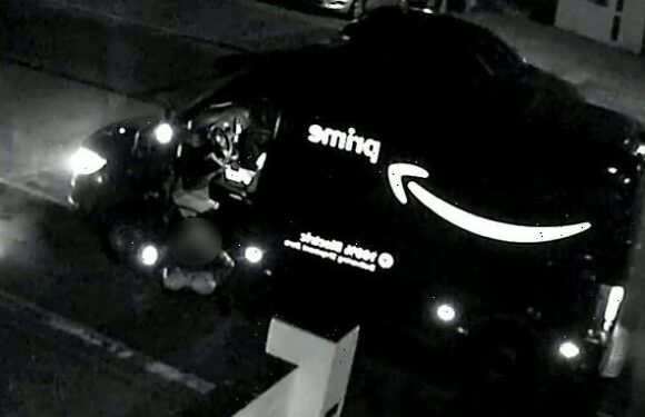 Moment Amazon driver 'urinates at the bottom of customers' driveway'