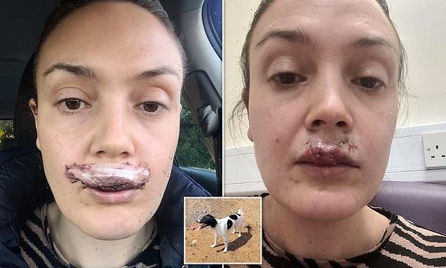 Mother left with no feeling in her top lip after attack by her own dog