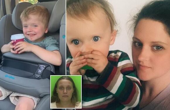 Mother of Harvey Borrington shares heartbreaking family video