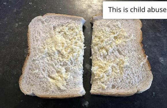Mother shares 'sad' sandwich her husband made for their daughter