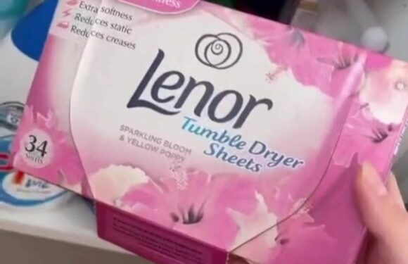 Mum praised for tumble dryer sheet hack to make her home always smell nice | The Sun