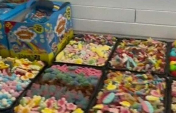 Mum shares the big buffet she put on for her child’s fourth birthday party but people are seriously divided | The Sun