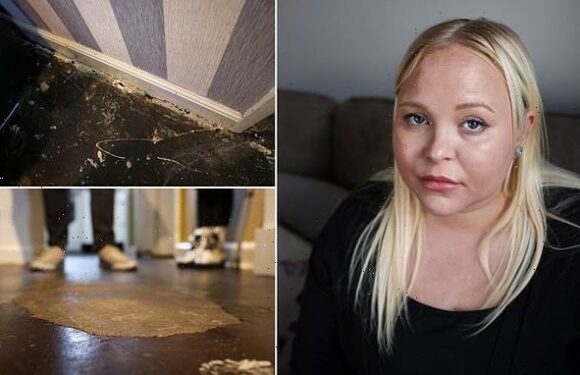 Mum's mouldy home 'worse than when I left it' as family moved to hotel