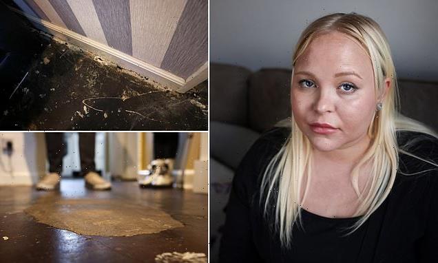 Mum's mouldy home 'worse than when I left it' as family moved to hotel