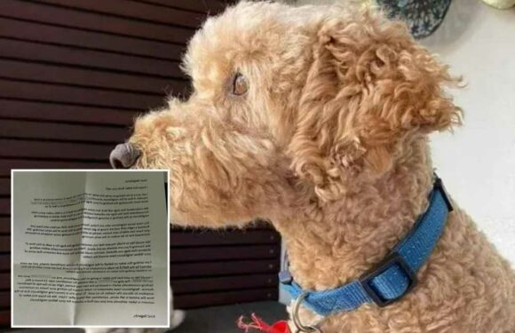 My nightmare neighbours wrote me a full A4 passive aggressive letter to complain about my ‘unsettling’ dog – I'm fuming | The Sun