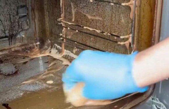 My oven was absolutely filthy but I managed to get it looking brand new in a few hours, and it only cost me £3.49 | The Sun