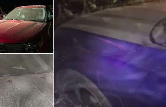 Mysterious white dust falls from the sky in Maryland and West Virginia