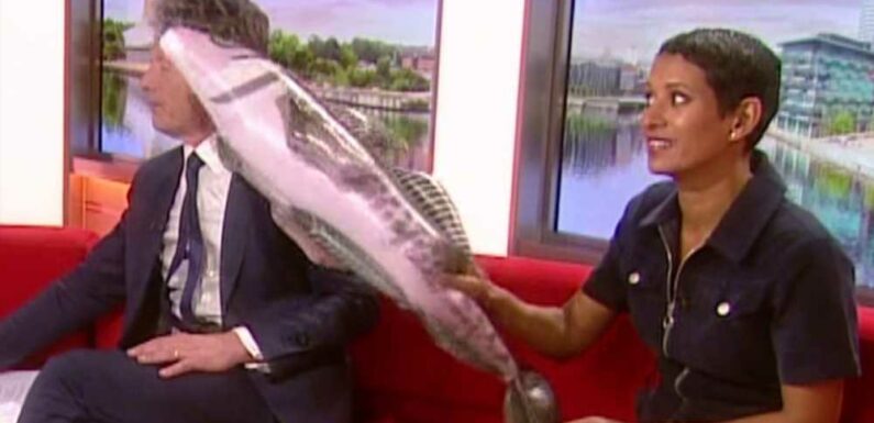 Naga Munchetty leaves Charlie Stayt looking unimpressed after hitting him with a fish live on BBC Breakfast | The Sun