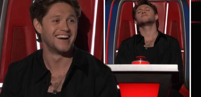 Niall begs The Voice singer to choose him after covering Harry Styles