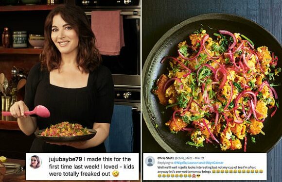 Nigella Lawson fans divided over Indian dish made with FISH FINGERS