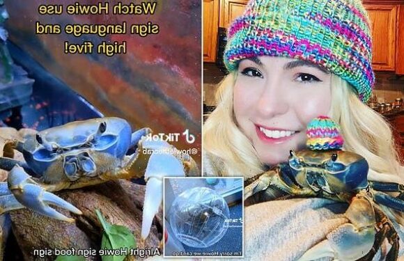 Omaha stay-at-home mom shoots to internet fame thanks to her pet CRAB