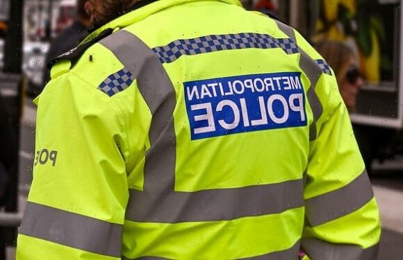 PC who kept job after masturbating on a train to have case reviewed