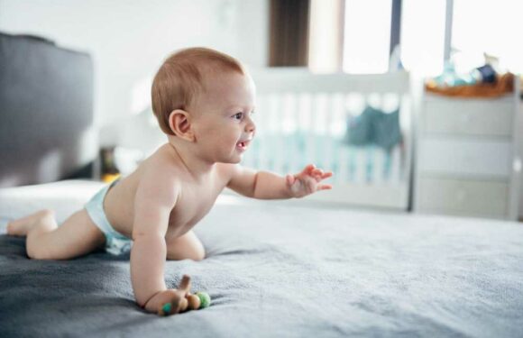 Parents get utterly rinsed for naming their tot after a pesky bug everyone hates | The Sun