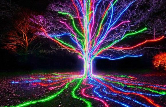 Pass the light display please, Vivid 2023 will illuminate the Sydney food scene