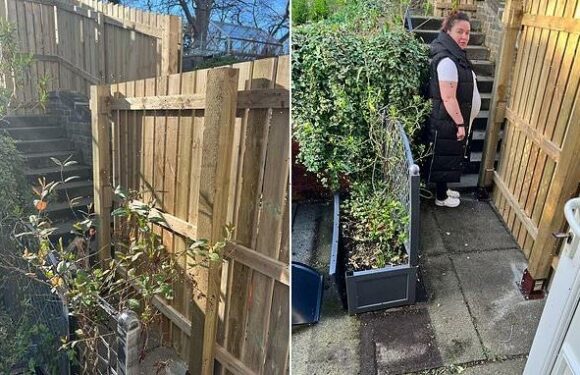 Pregnant hairdresser rowing with neighbours' over shared garden fence