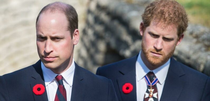 Prince Harry and Prince William could reunite ahead of King’s coronation after sad family death